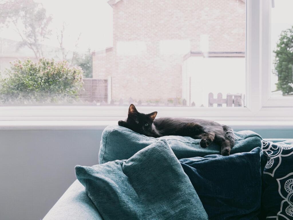 House-Sitting and Home Exchange - Difference