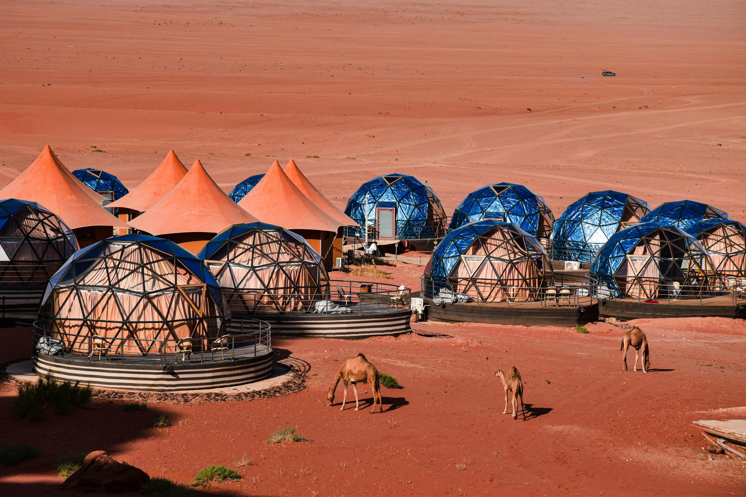 Bubble Domes: How to Book, What to Expect & Why You’ll Love It