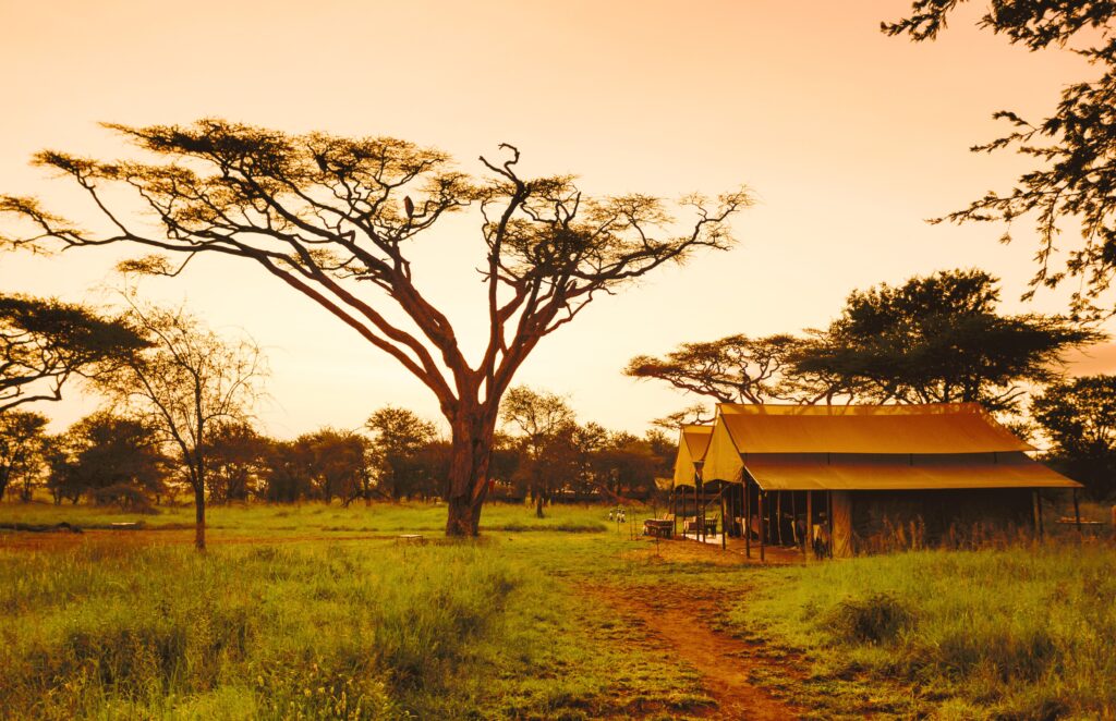 Traveletty - Safari Tents - Featured Image