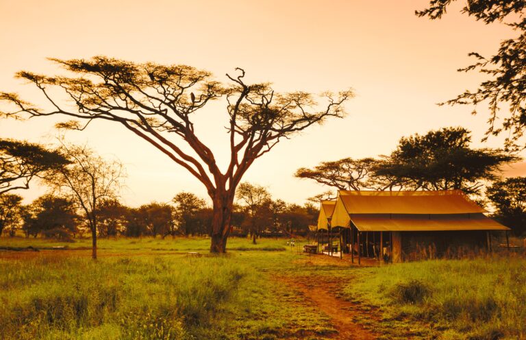 Traveletty - Safari Tents - Featured Image