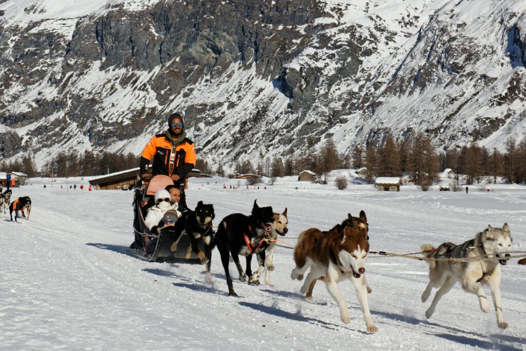 Traveletty - Ski Resorts - Tourists enjoy a dog sledding activity accompanied by a guide in a ski resort 