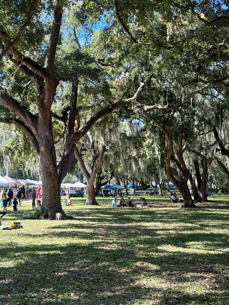 Traveletty - Urban Parks for Picnicking - People enjoying their picnic during a community event in the park.