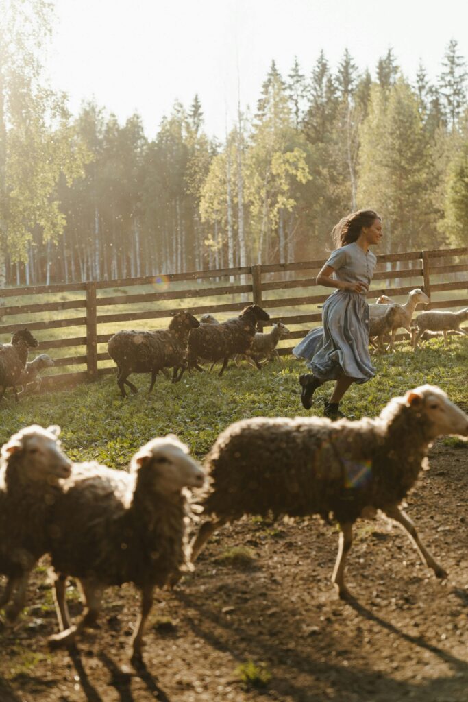Traveletty - Farm Stays - a young female wearing a blue dress and boots, running and playing with the goats in a farm