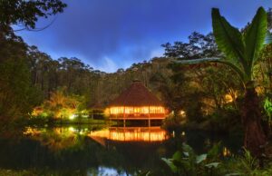 Traveletty - Jungle Huts - Beautiful jungle lodge in the middle of the forest during night time