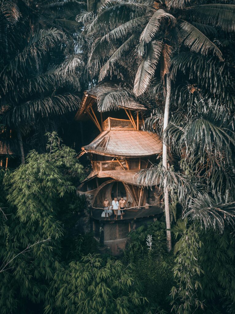 Traveletty - Jungle Huts - a unique stay located in the forest
